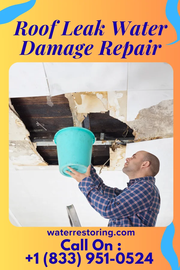 Roof Leak Water Damage Repair in Miltona, MN